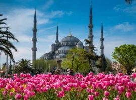 Daily Istanbul Tour