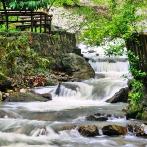 Sapanca & Masukiye trip