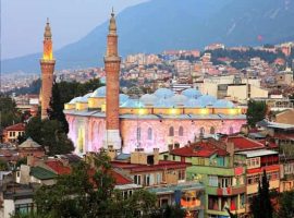 GREEN BURSA TRIP